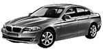 BMW F10 P1995 Fault Code